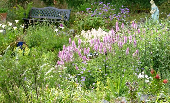 Lush pink and white planting with bench and statue